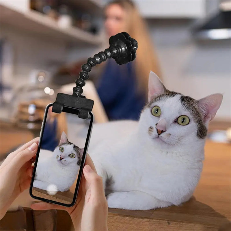 Herramienta de fotografía de mascotas, gato, perro y perHerramienta de fotografía de mascotas, gato, perro