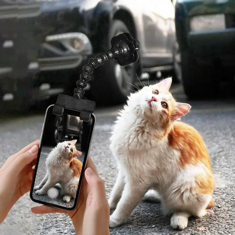 Herramienta de fotografía de mascotas, gato, perro y perHerramienta de fotografía de mascotas, gato, perro