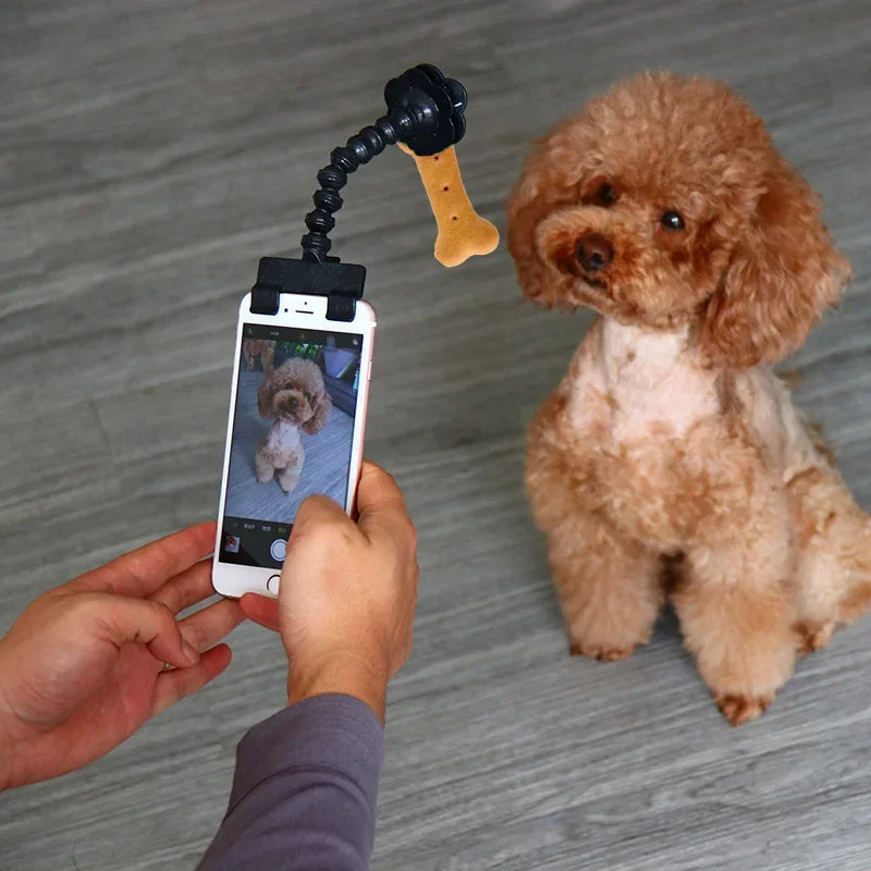 Herramienta de fotografía de mascotas, gato, perro y perHerramienta de fotografía de mascotas, gato, perro