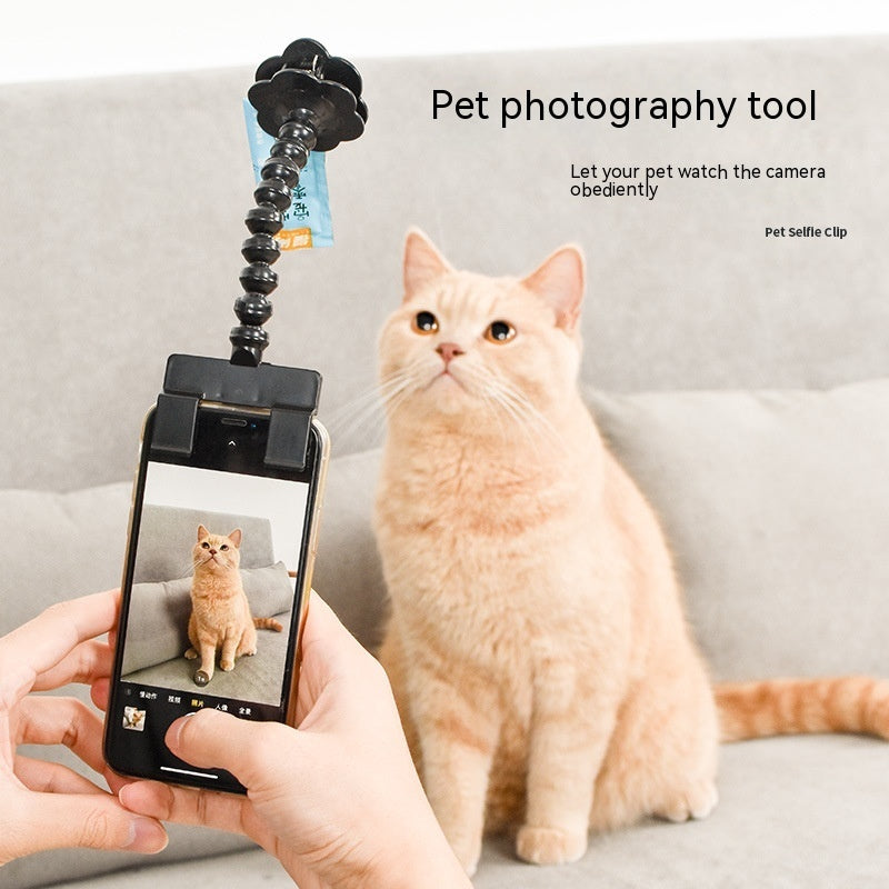 Herramienta de fotografía de mascotas, gato, perro y perHerramienta de fotografía de mascotas, gato, perro