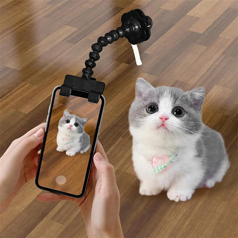 Herramienta de fotografía de mascotas, gato, perro y perHerramienta de fotografía de mascotas, gato, perro